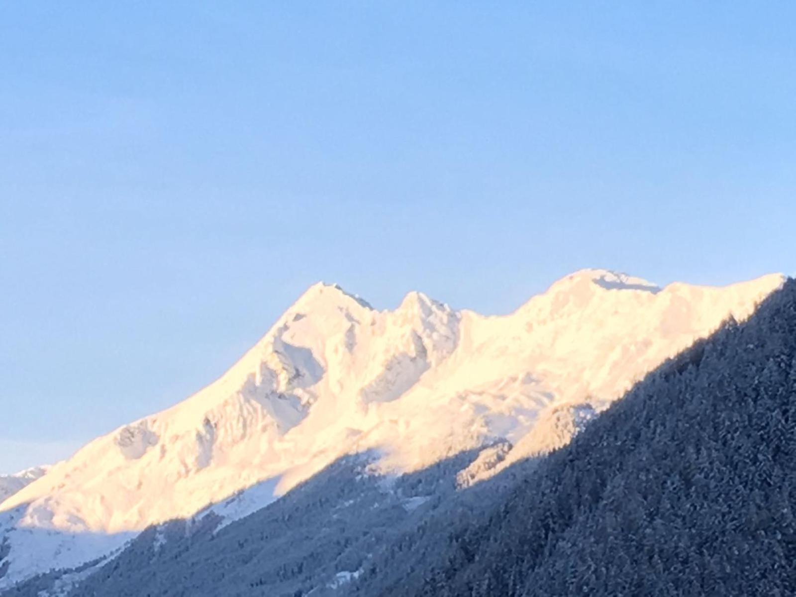 Bed and Breakfast Haus Steinbock Neustift im Stubaital Exterior foto