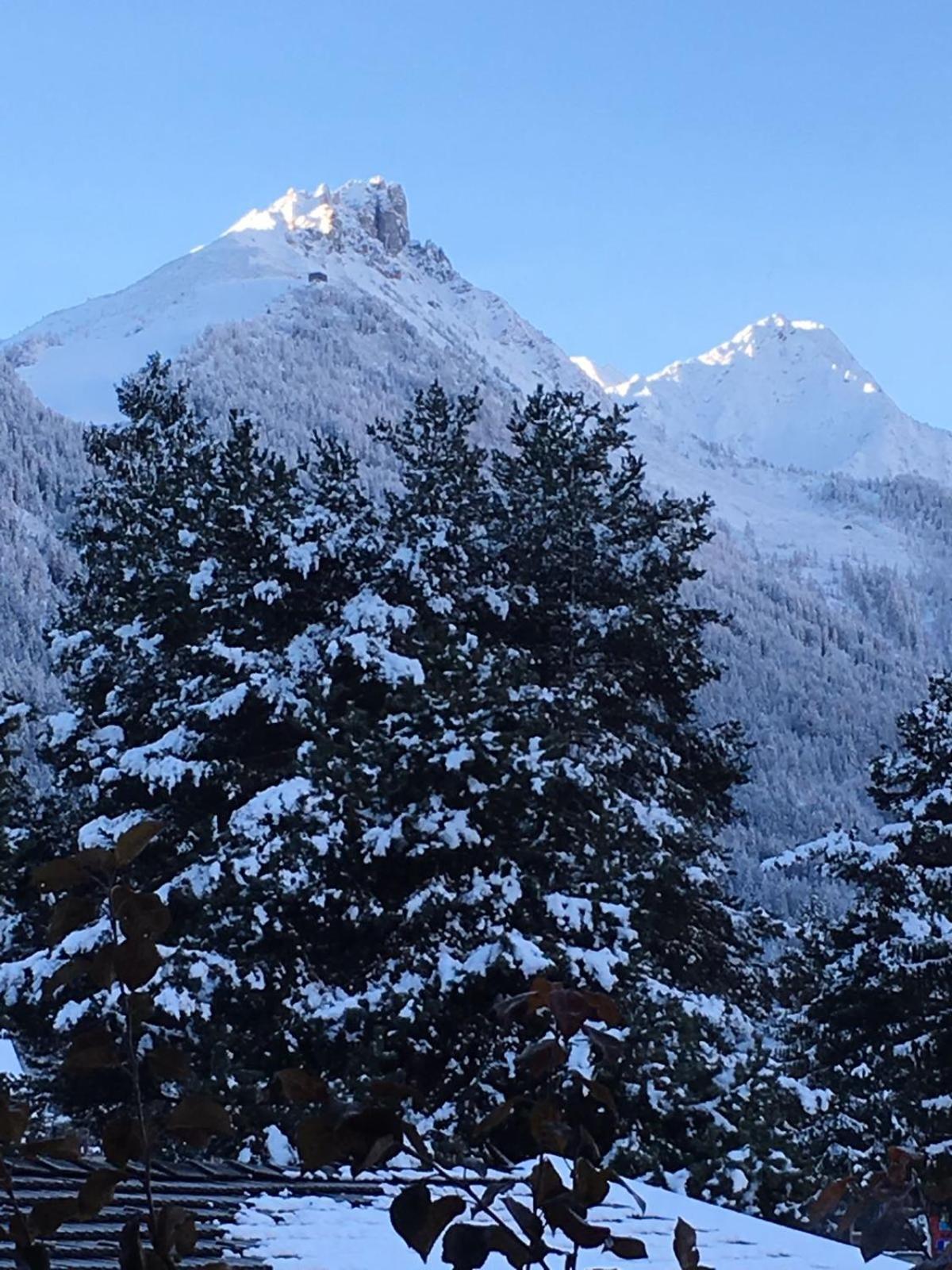 Bed and Breakfast Haus Steinbock Neustift im Stubaital Exterior foto